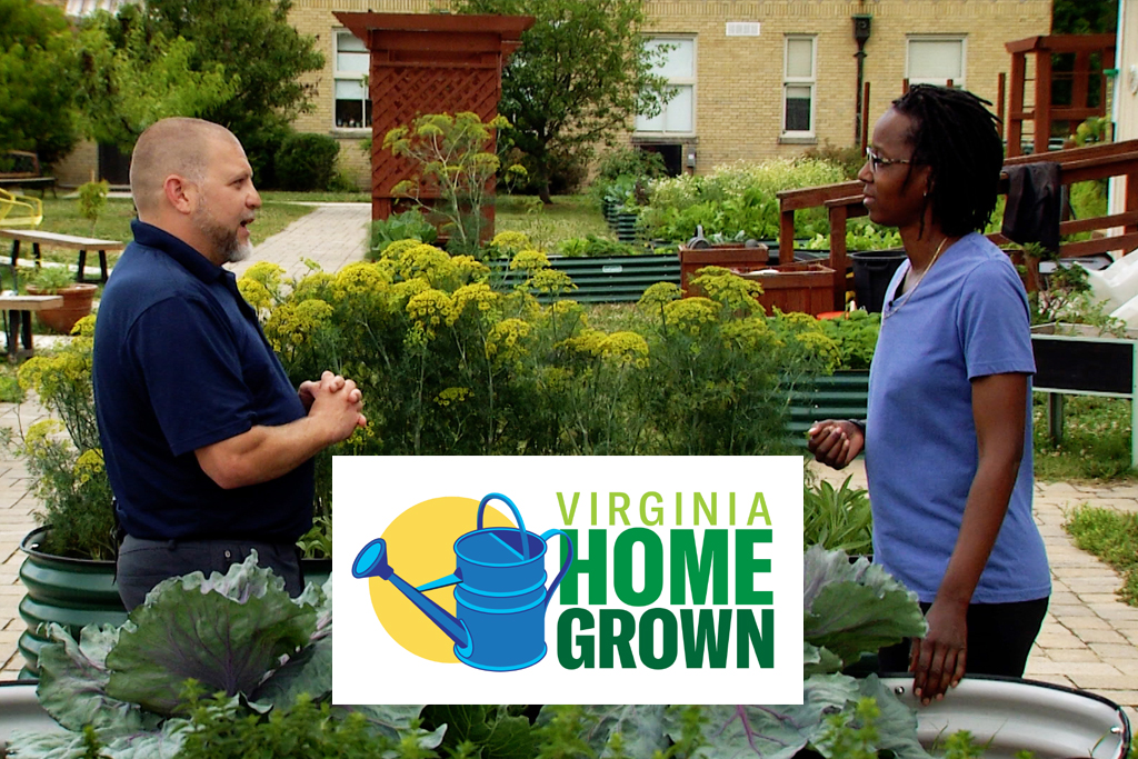 Virginia Home Grown